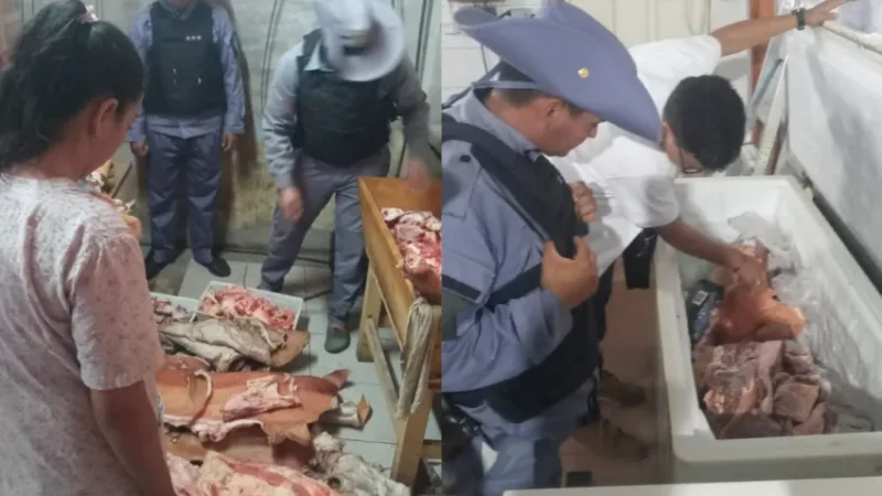 Secuestraron 160 kg de carne de dudosa procedencia y en mal estado en una carnicería de Quitilipi