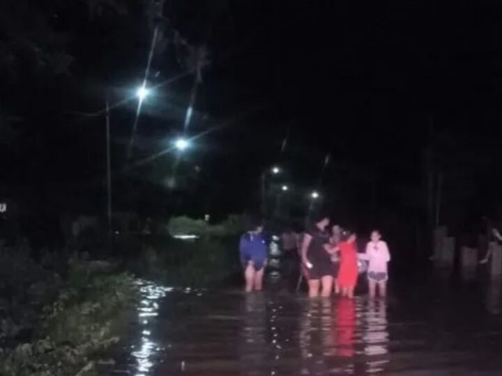 CHACO: TEMPORAL PROVOCÓ CAÍDA DE ÁRBOLES, ANEGAMIENTOS Y ASISTENCIA A FAMILIAS